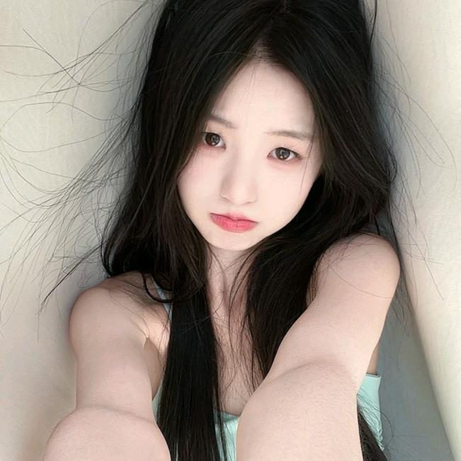 楠竹