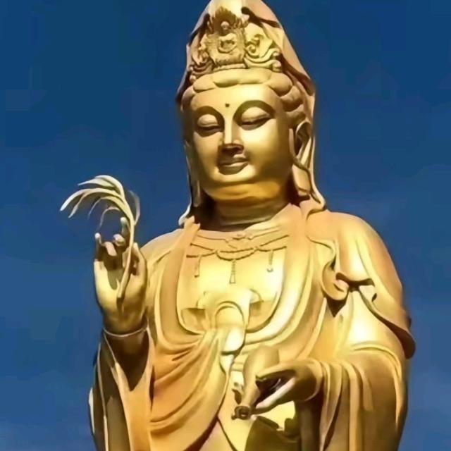 枫叶正能量