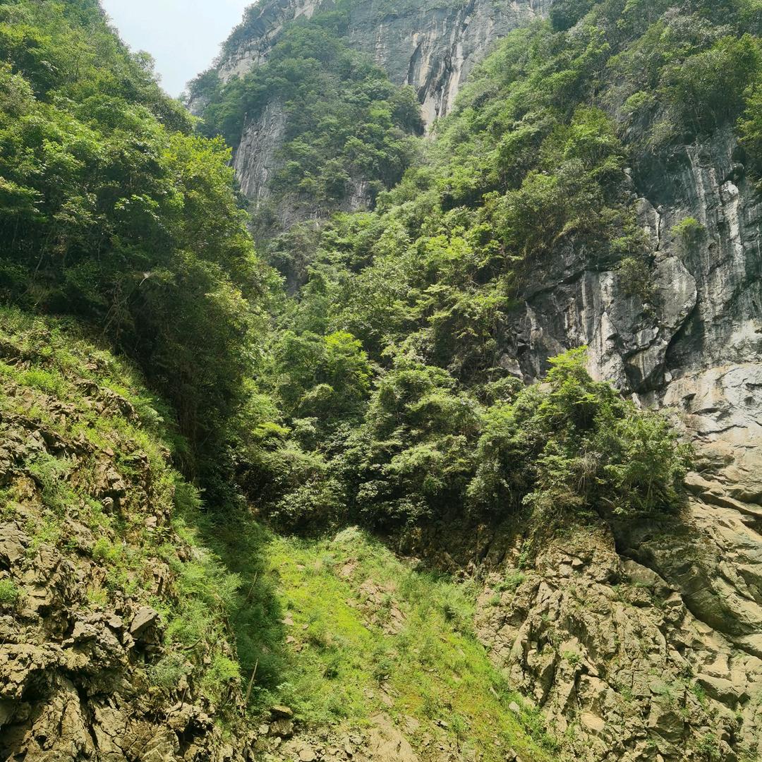 风尘
