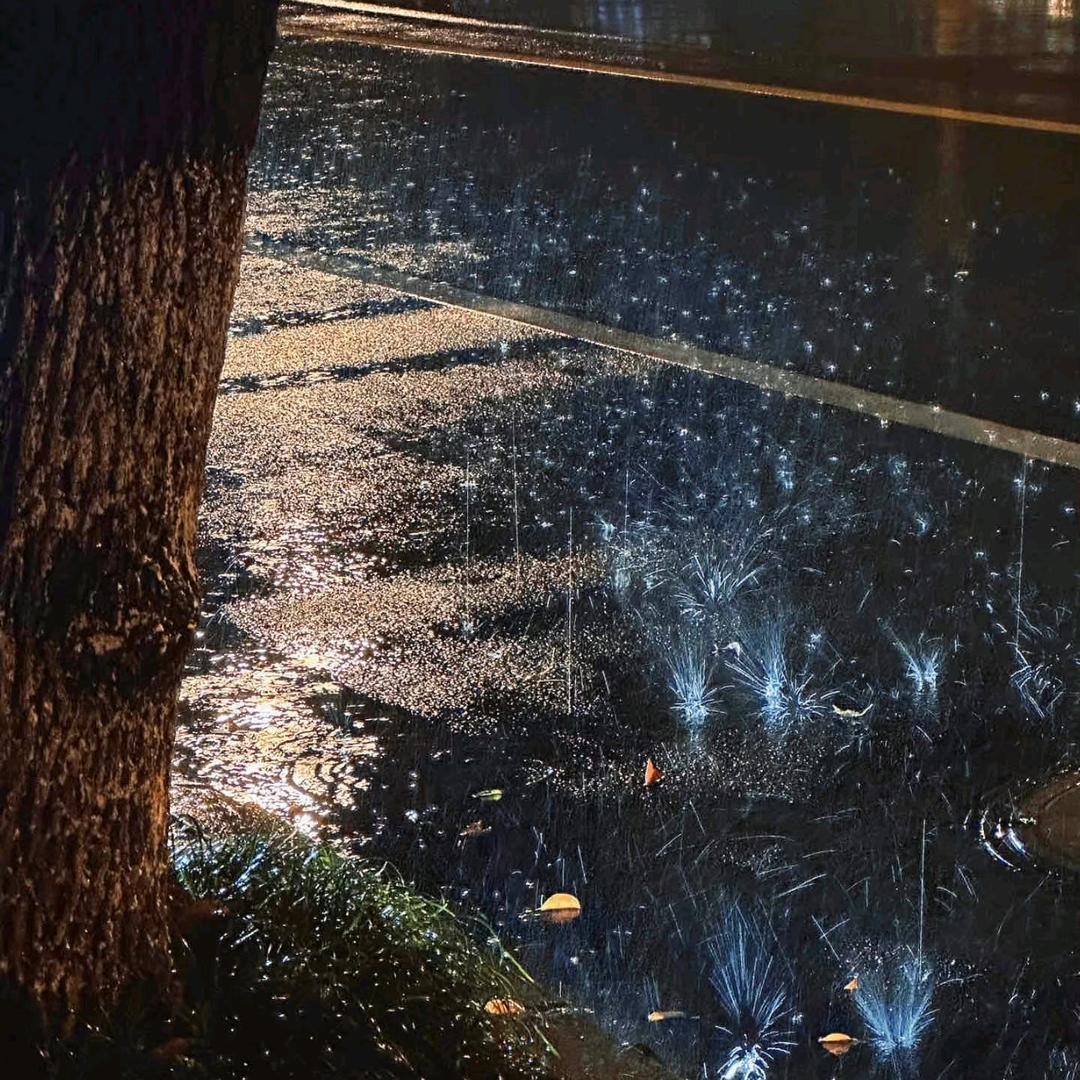 不想李没道李