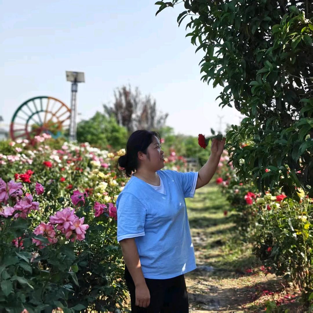 沐沐（学习中）