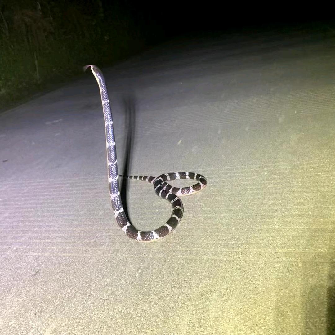 随遇而安