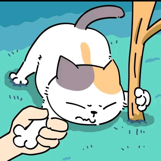 时间追不上白马