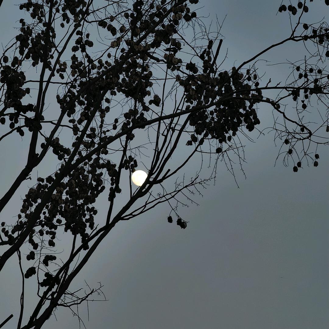 嵩县印刷制笔厂