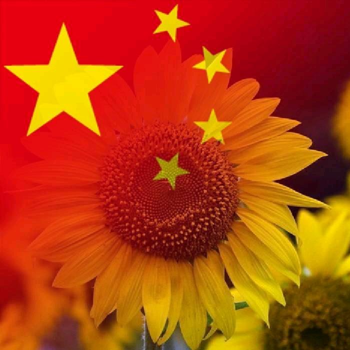 逐光努力者✨