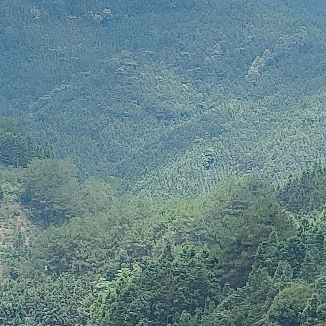 三轮车越快越好