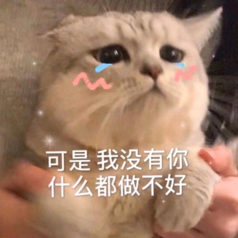 前夫家看孩子被前夫索取9次头像