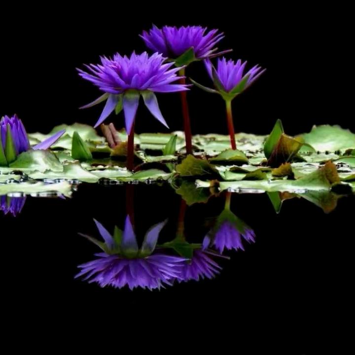 涛哥家宴(吴涛)