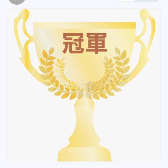 投票拉票帮助团