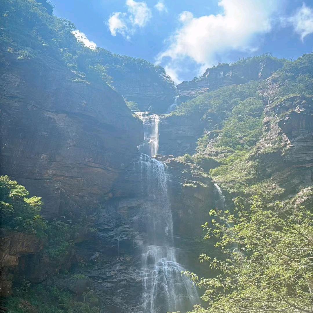 AAA我心飞扬