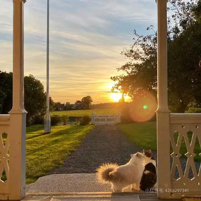 𝔸𝕌𝔾𝕌𝕊𝕋 | 喜乐