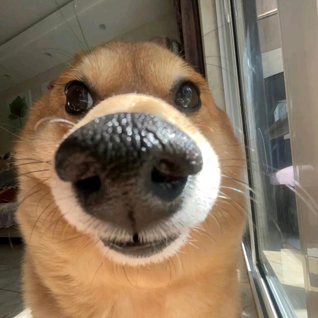 不畏将来♬