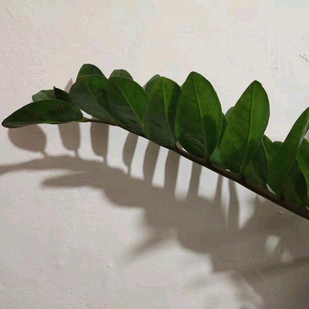 地理褚老师