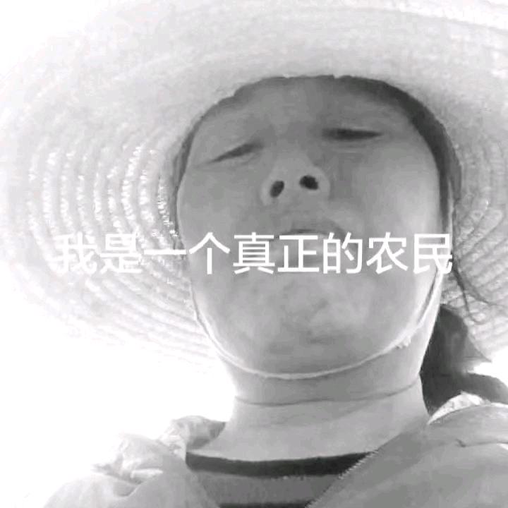 谁做女婿