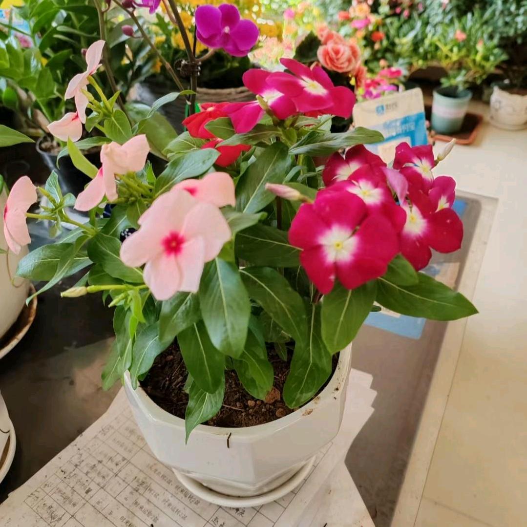 经济技术就问你