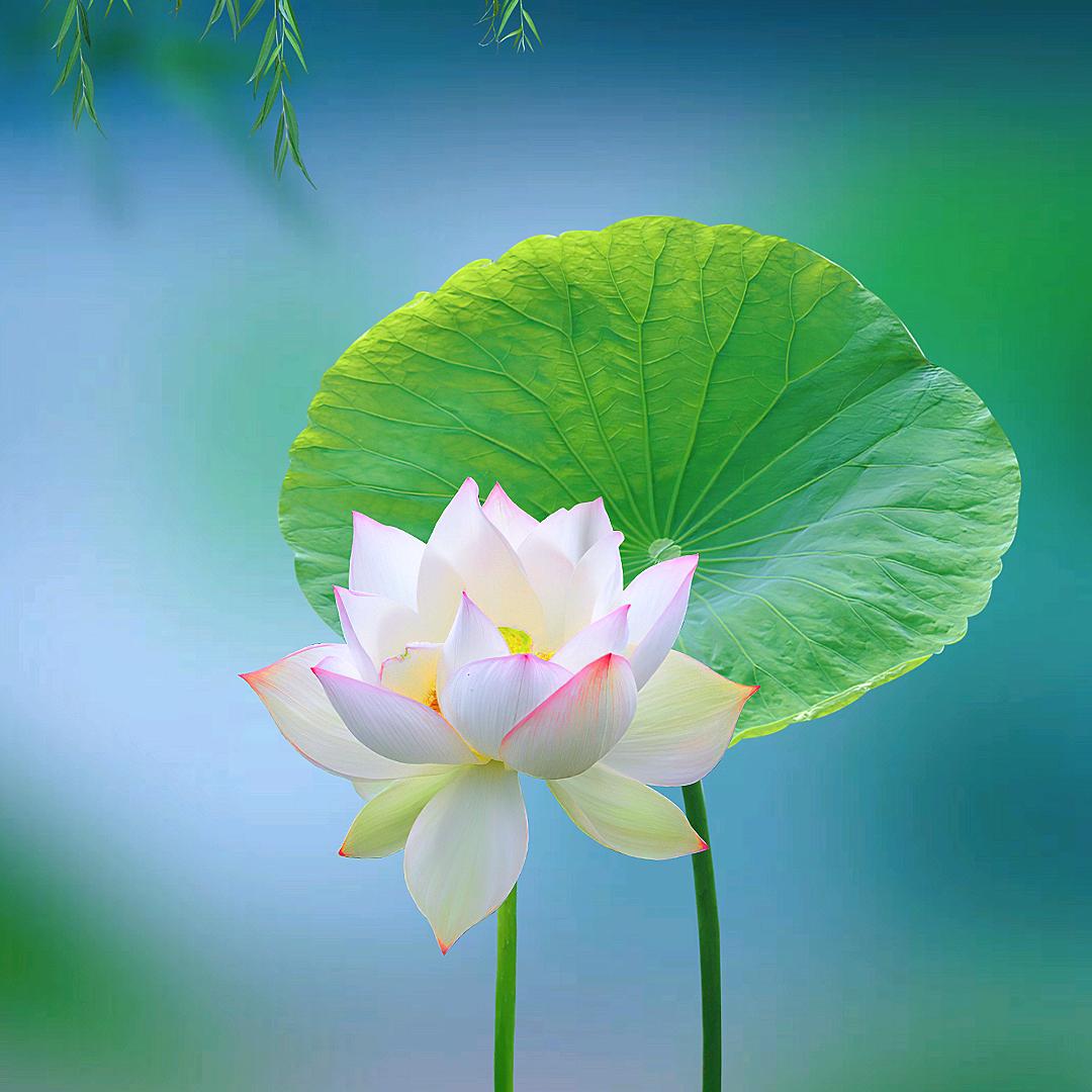 沃谷特产