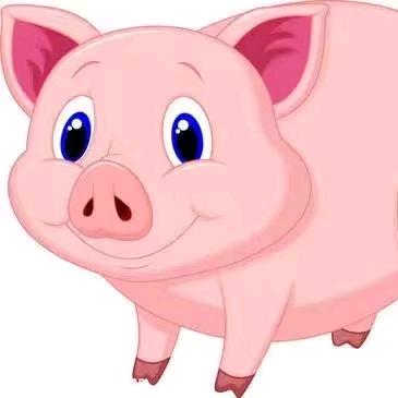 猪事顺利🐷