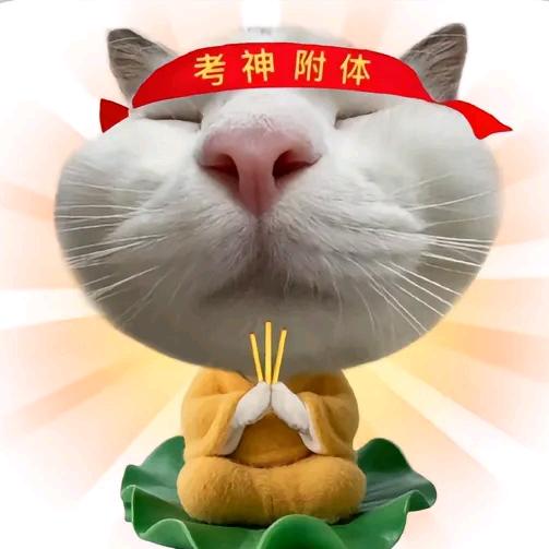 哦。