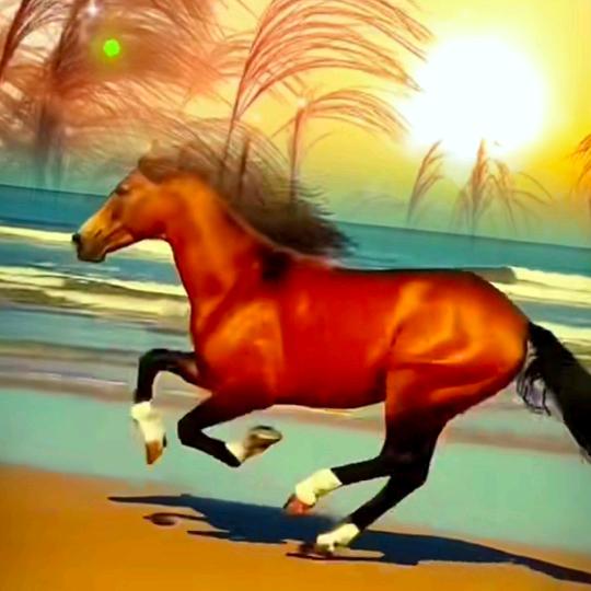 馬🌷到🌺成🌺功🌺🌺🌺🌺