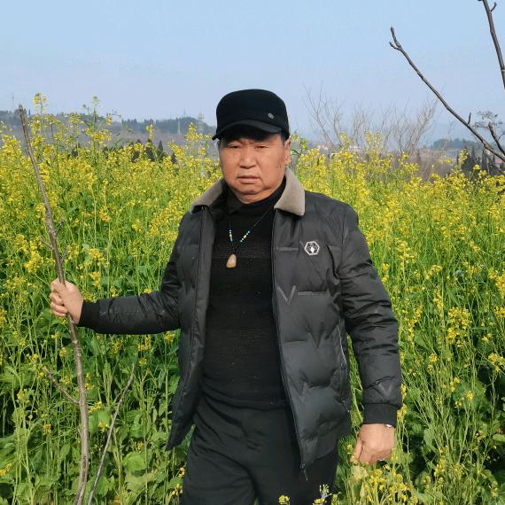 马老板