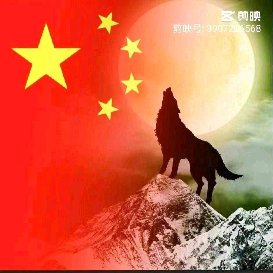 梦相思🐯🐯🐯