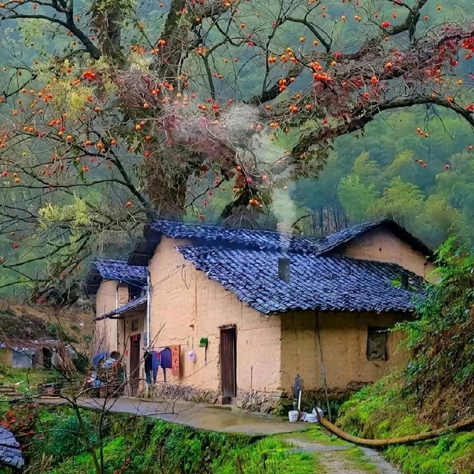 小林子