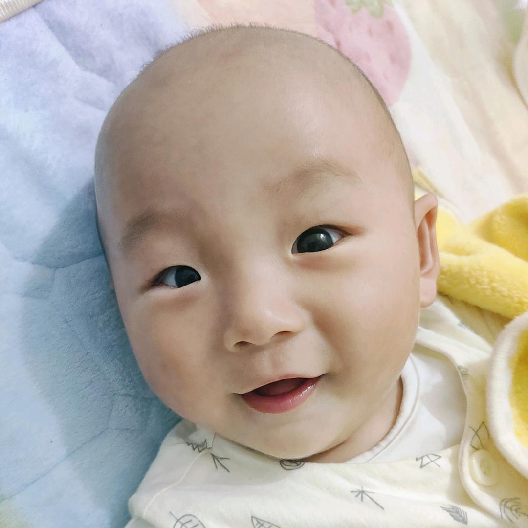 小菠萝🍍