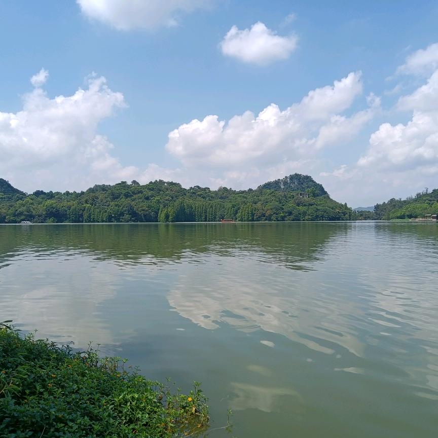 扶摇直上九万里