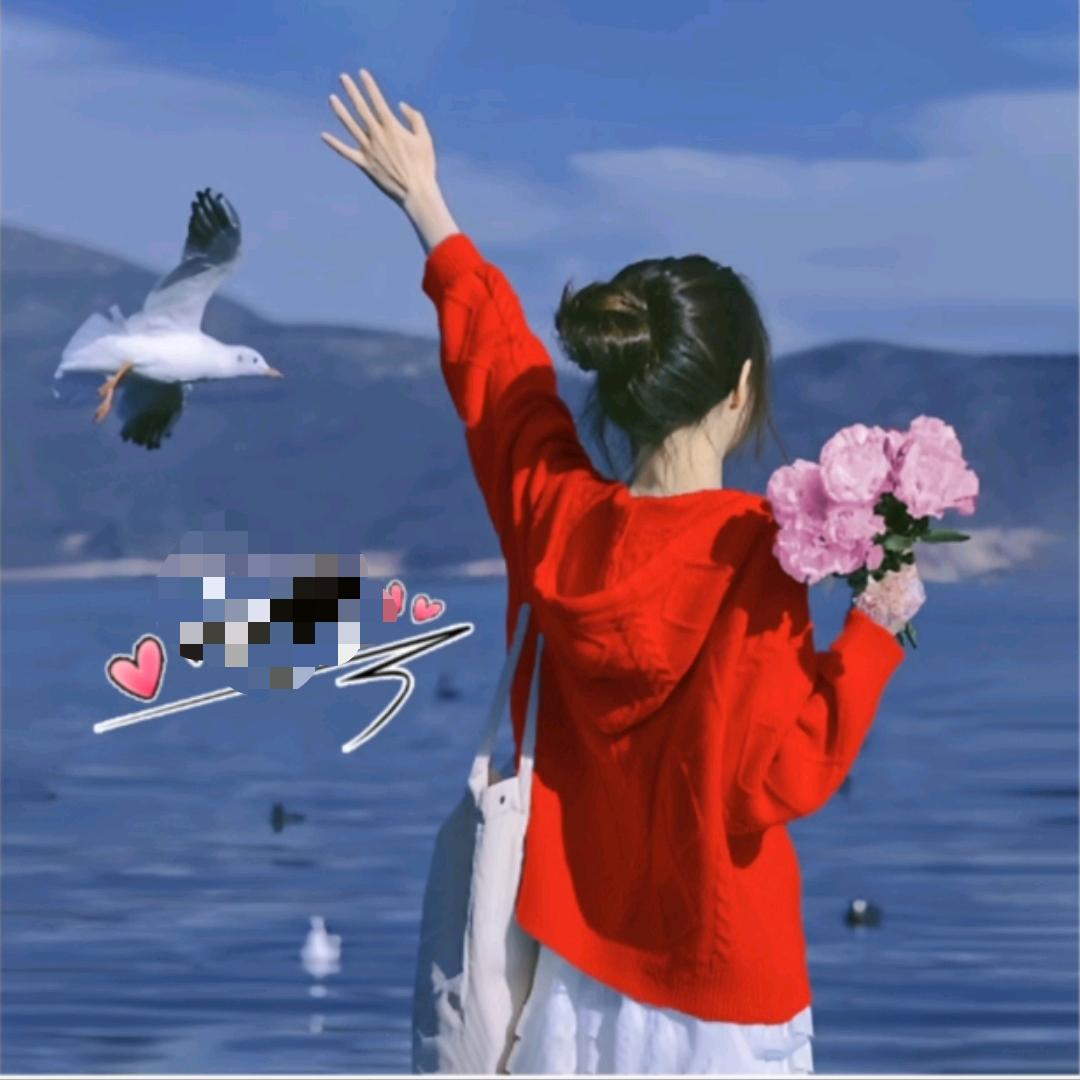 💕挽风赏月