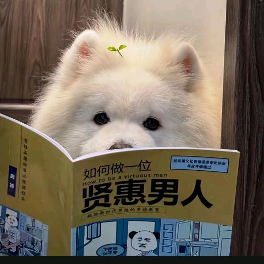 此时