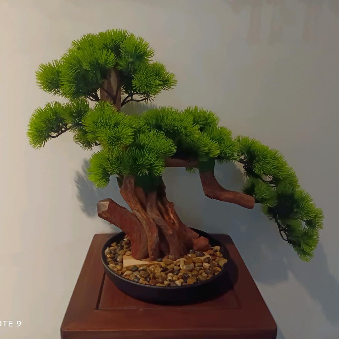 我
