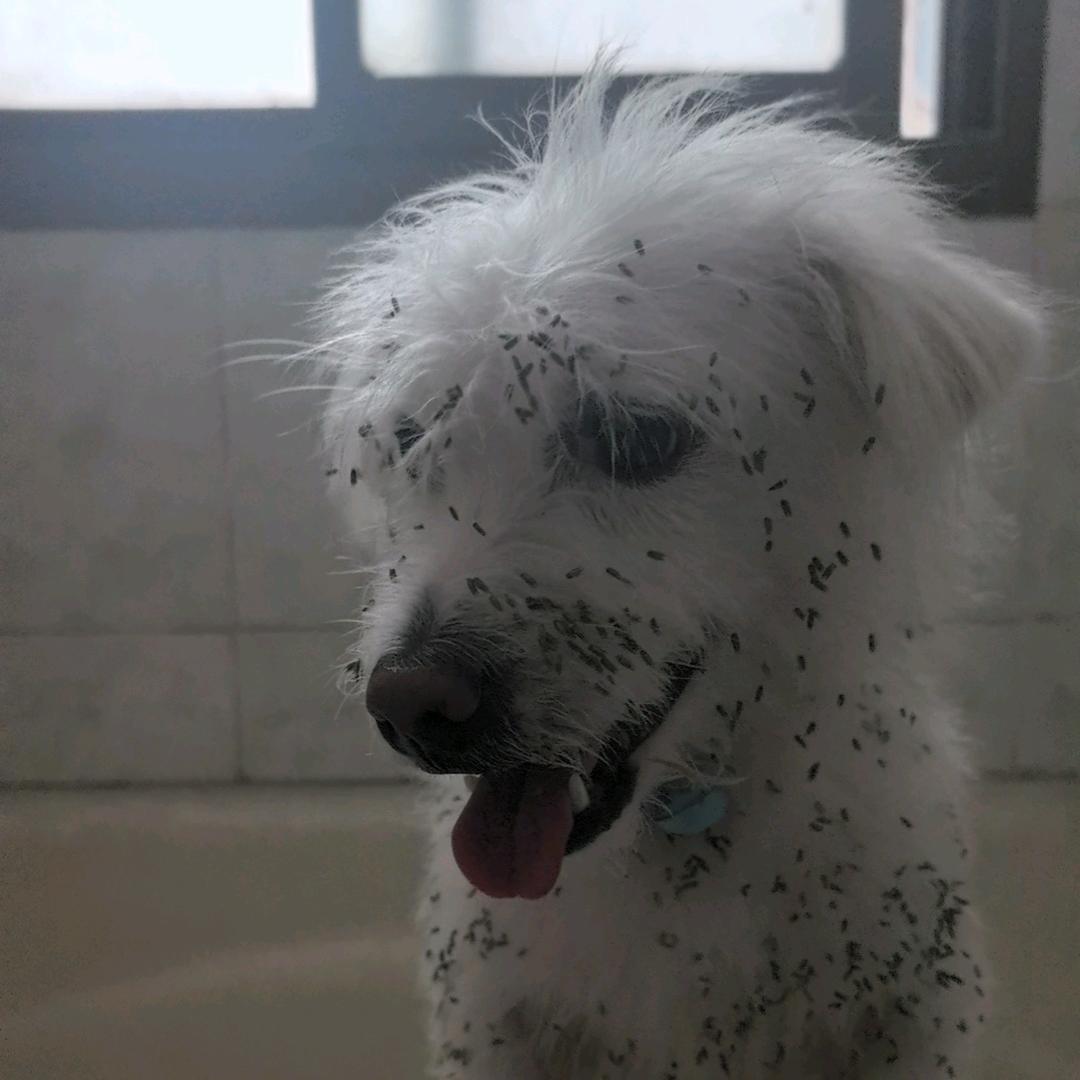 水水瓶子