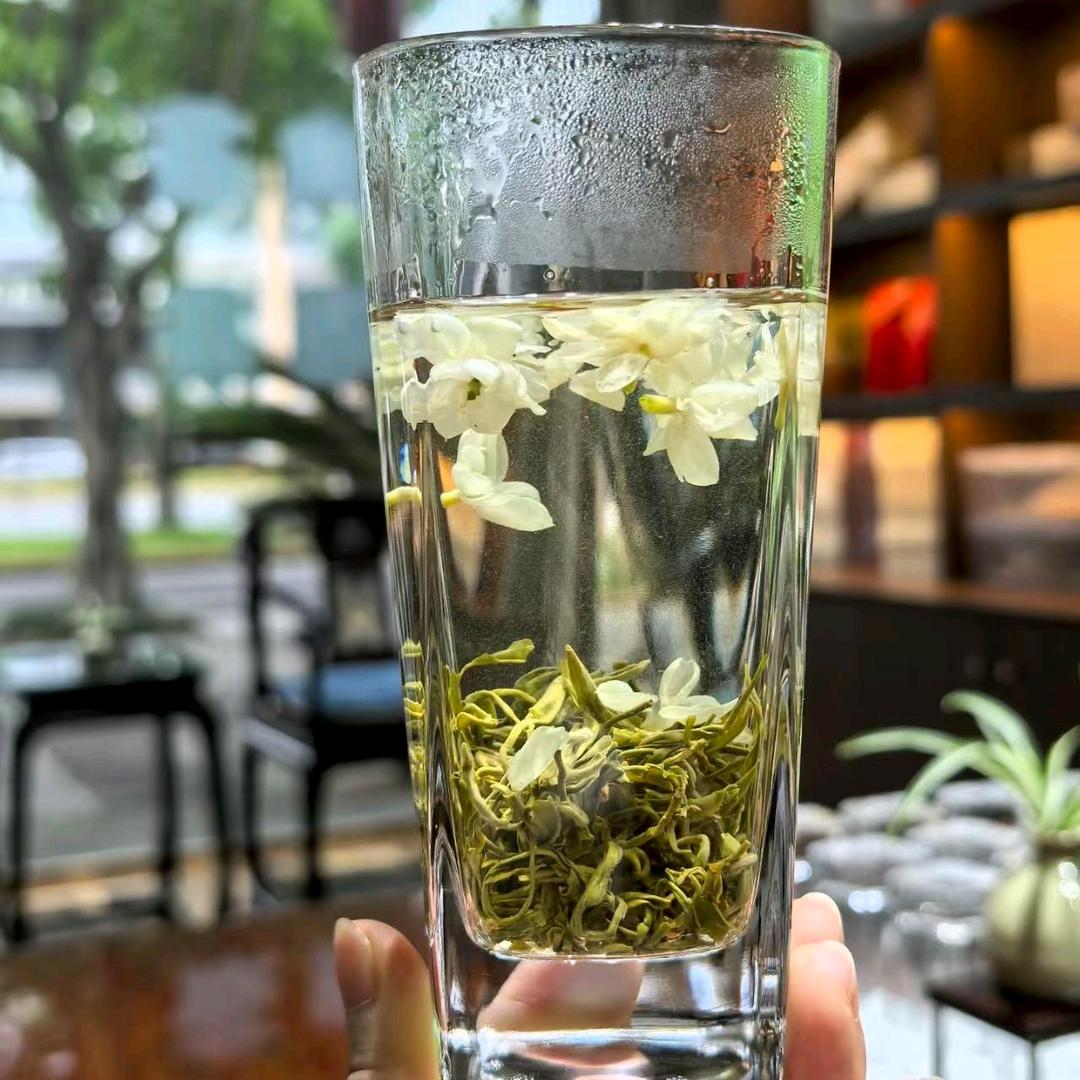 阳明一精选