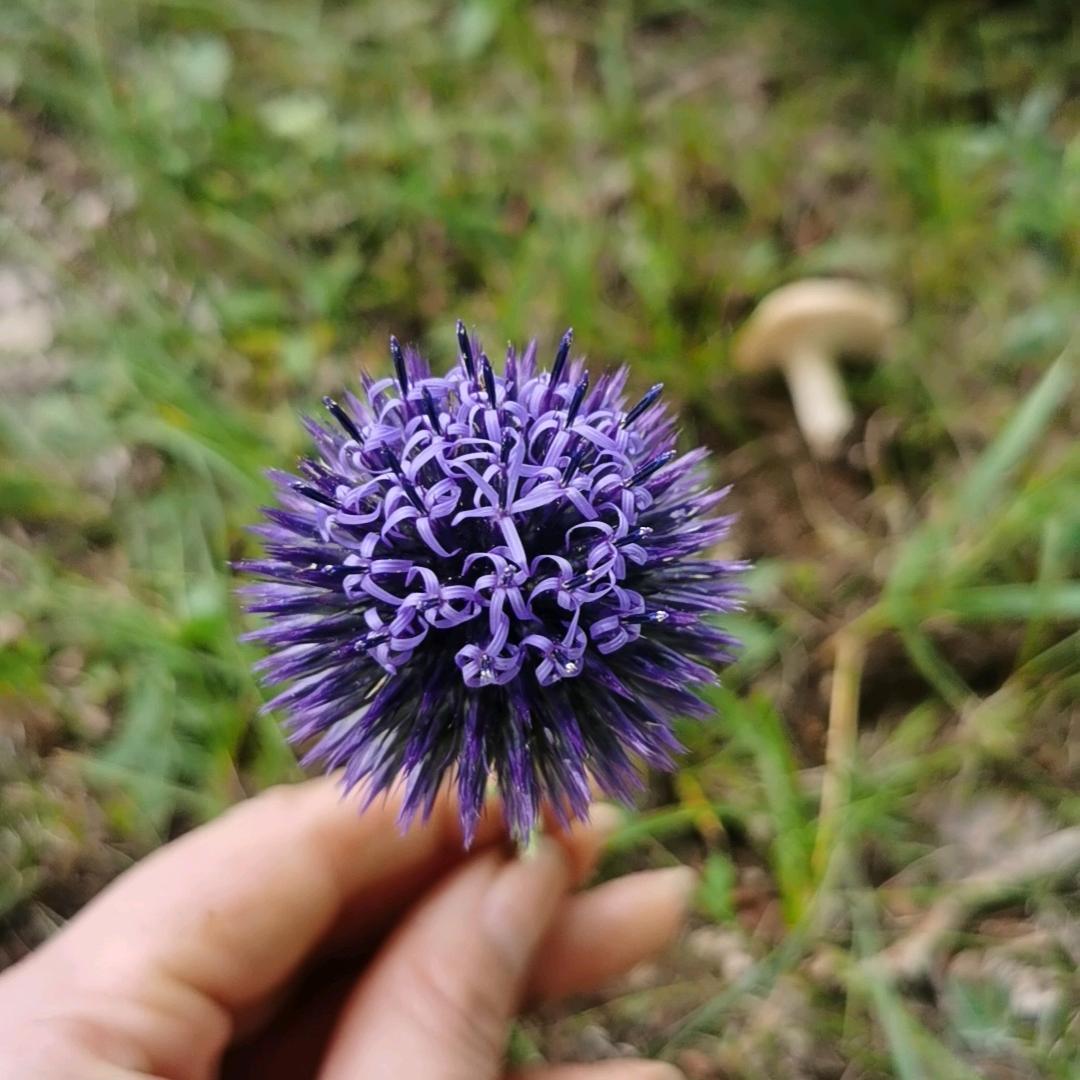 中式艺术灯馆