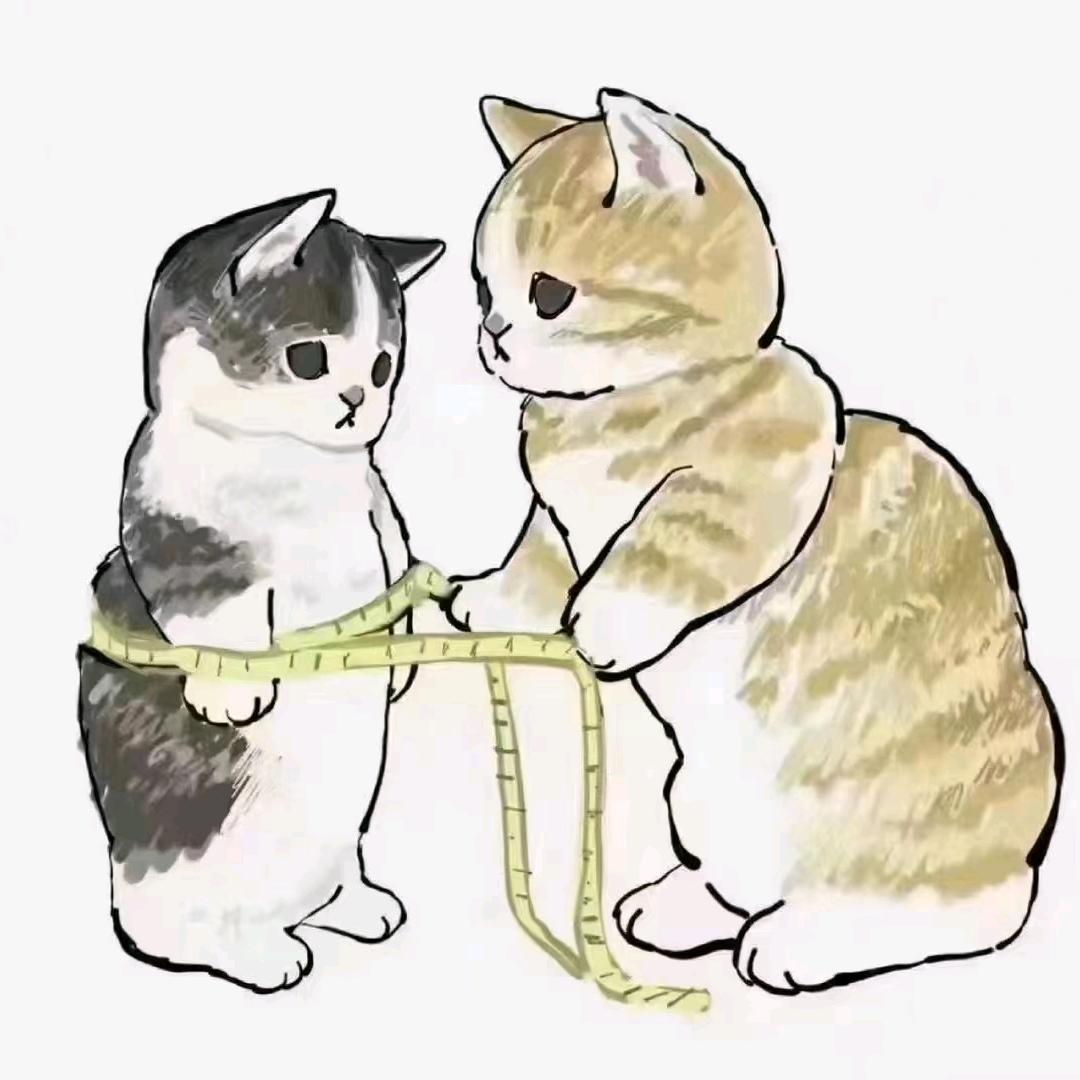 我的小可爱来了哦