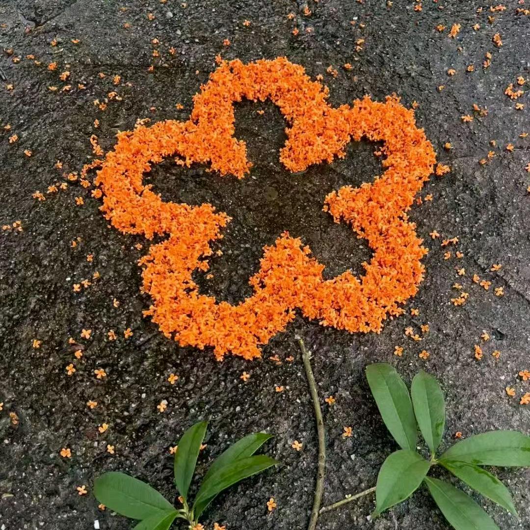 ❥᭄ꦿ꯭U点小脾氣ღ᭄❥