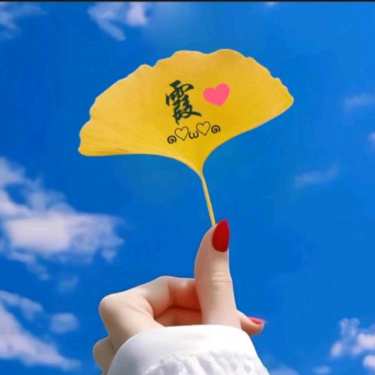 章鱼丸子