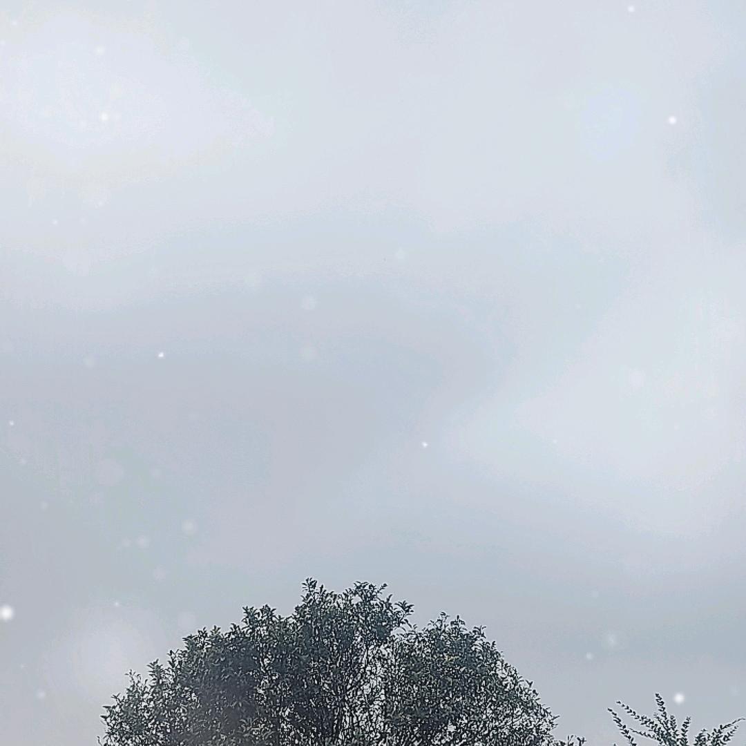 𦪑醗