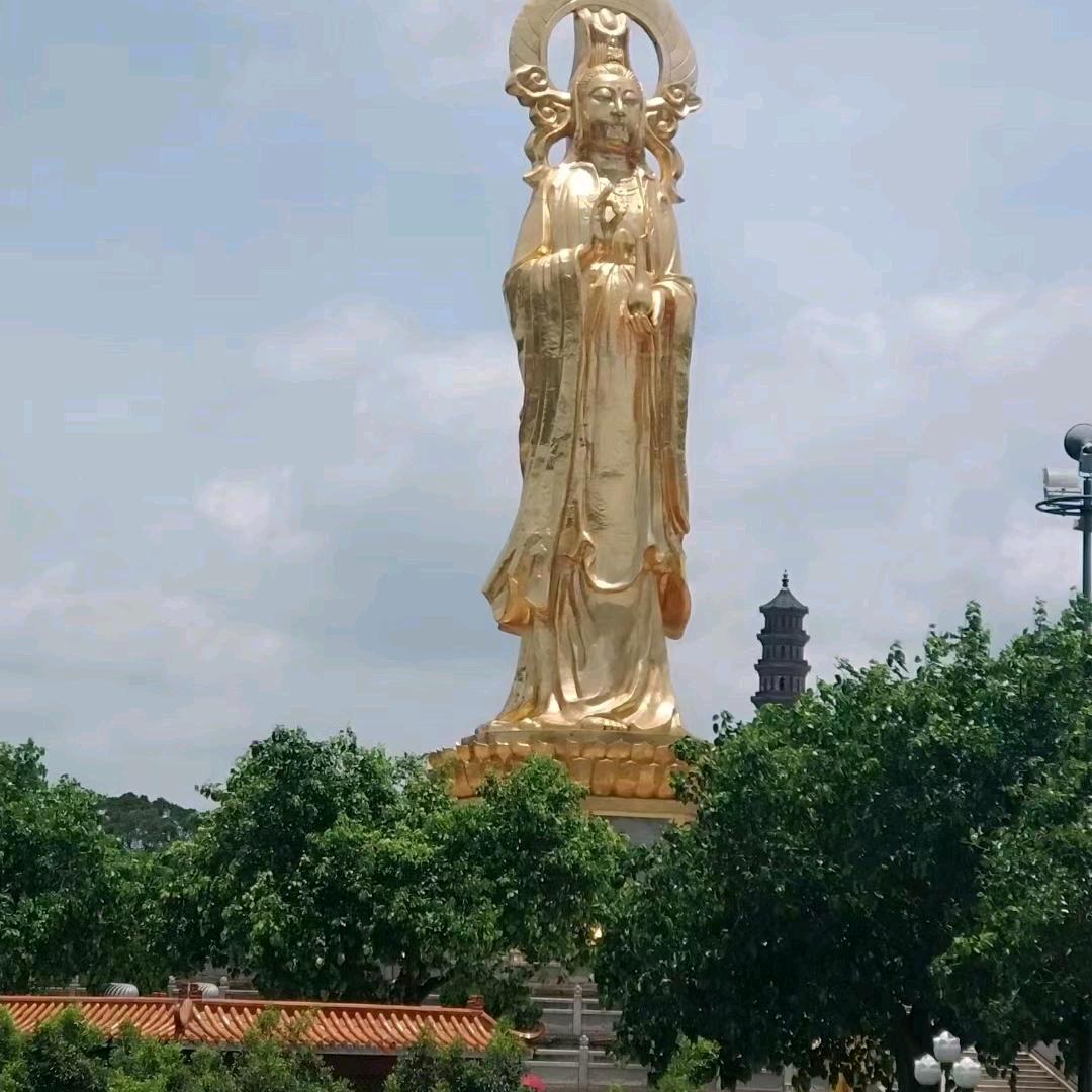 招财进宝