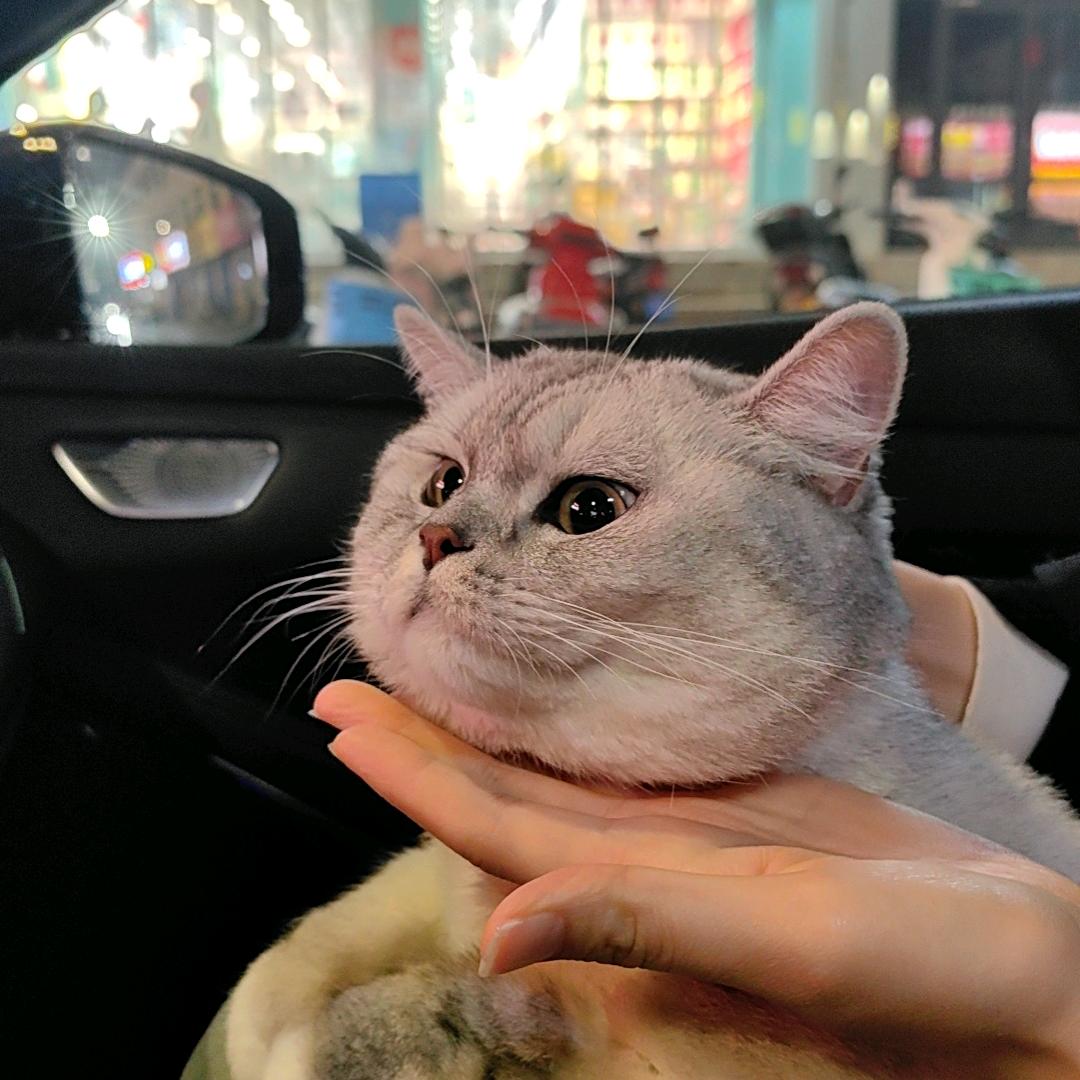 @霞姐柔（不定时直播）