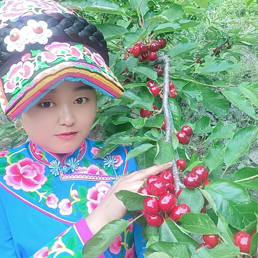 阿坝鲜水果，阿芳