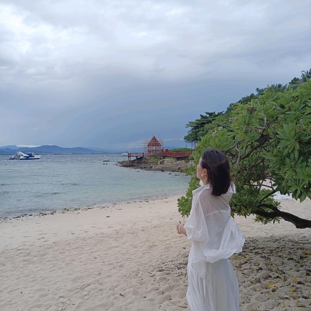 夏~ 夏