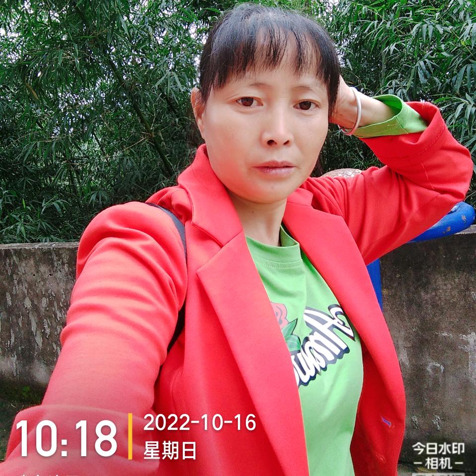 邹姐副食店