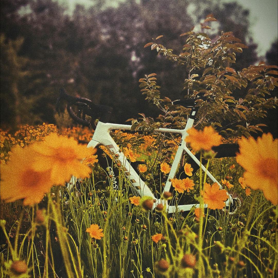 𝓱𝓮𝓵𝓵𝓸𝔂𝓪𝓷