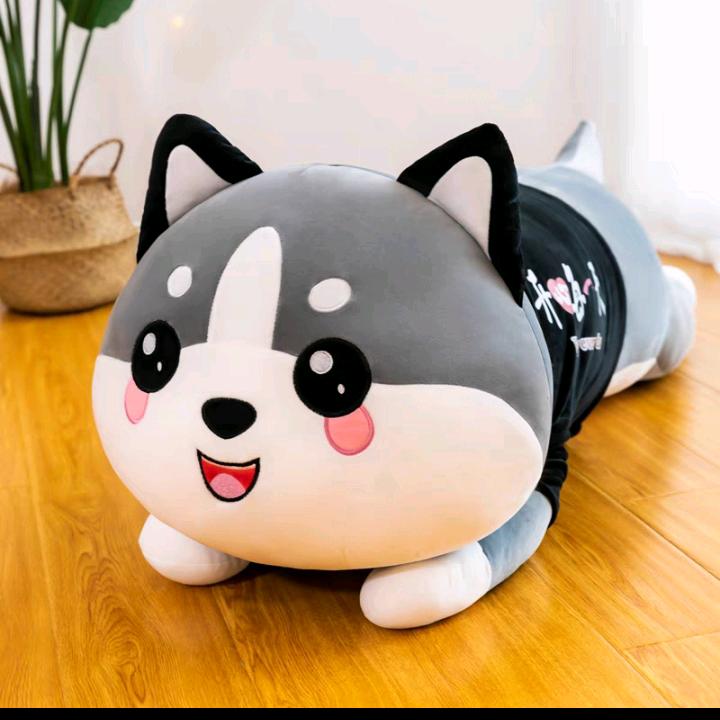 李二狗🐶
