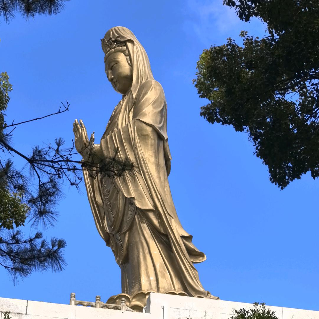 旭峰酒业峰哥