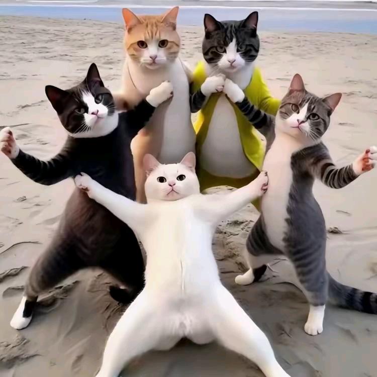 前夫哥