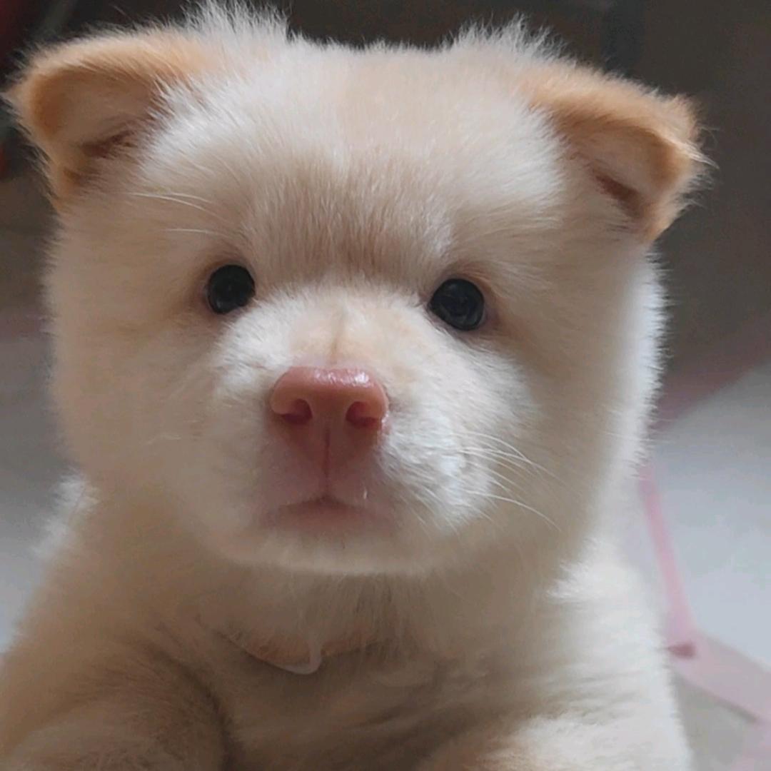 小雯同学