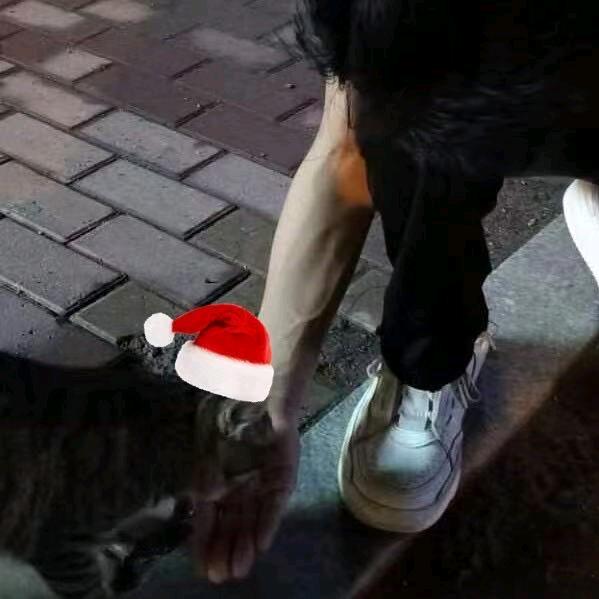 呱呱呱呱呱呱呱呱