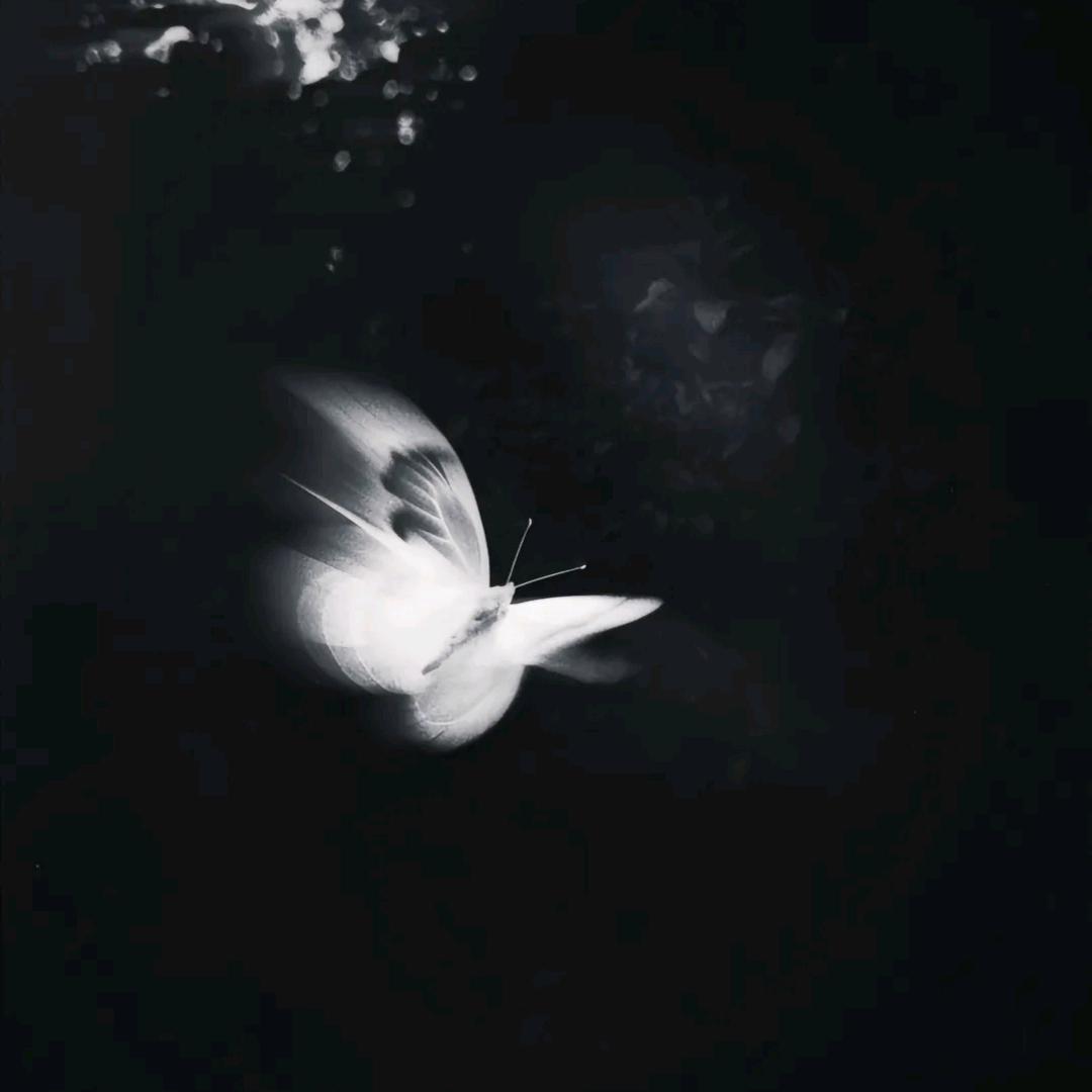 白云小朵朵